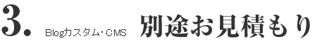 Blogカスタム・CMS 別途お見積もり