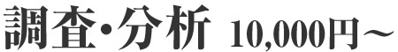 ホームページ調査・分析